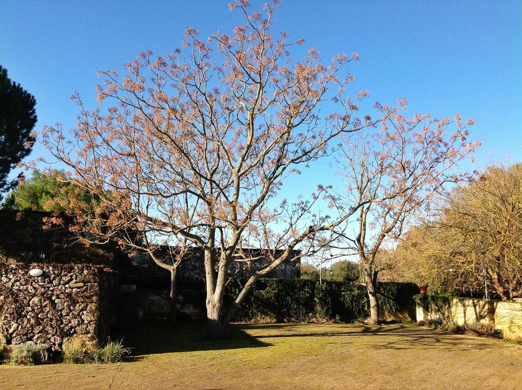 Tenuta Sant'Andrea Giuggianello Exteriör bild