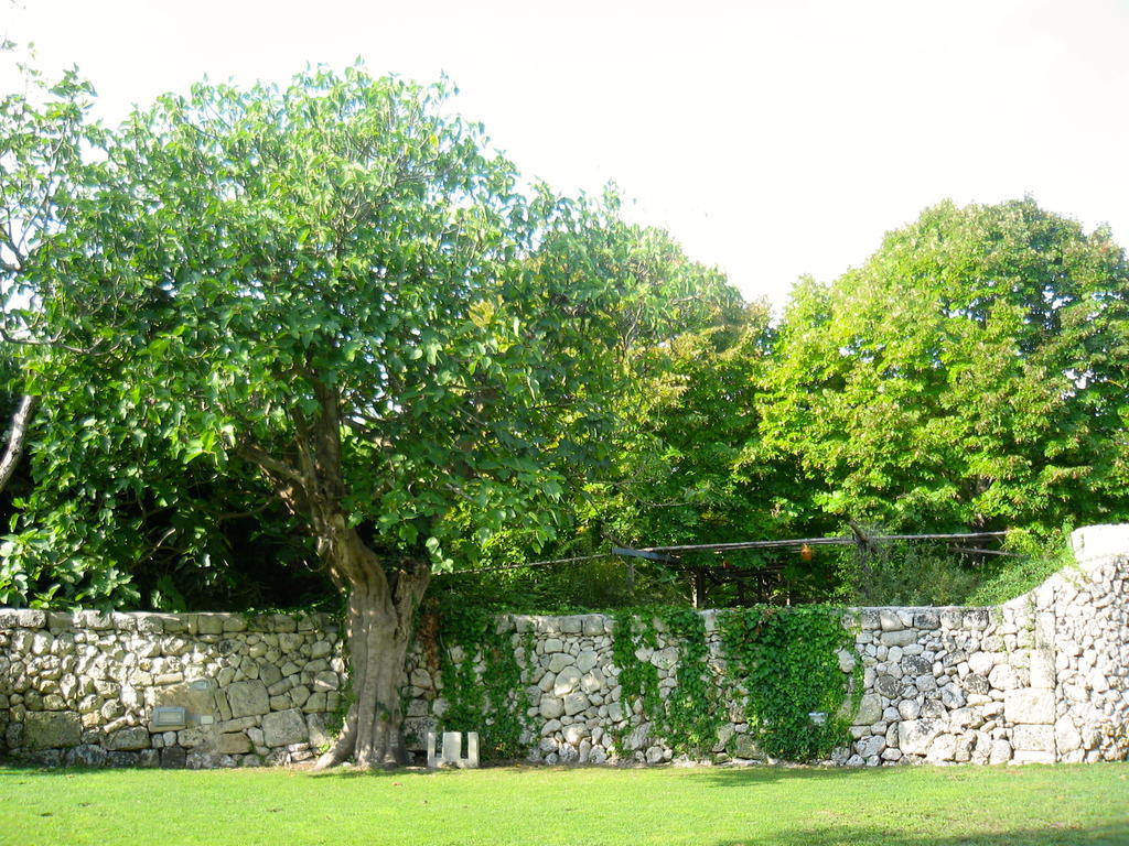 Tenuta Sant'Andrea Giuggianello Exteriör bild
